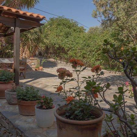 Private Pet Friendly Villa Agios Nikolaos  Exterior photo