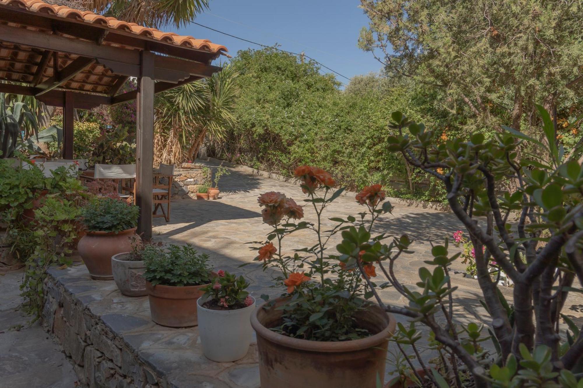 Private Pet Friendly Villa Agios Nikolaos  Exterior photo